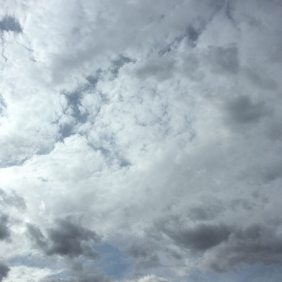 Meet your Posher, Natalie - Picture 1 of 1